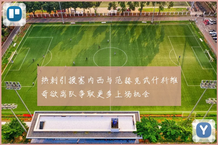 热刺引援塞内西与范赫克武什科维奇欲离队争取更多上场机会